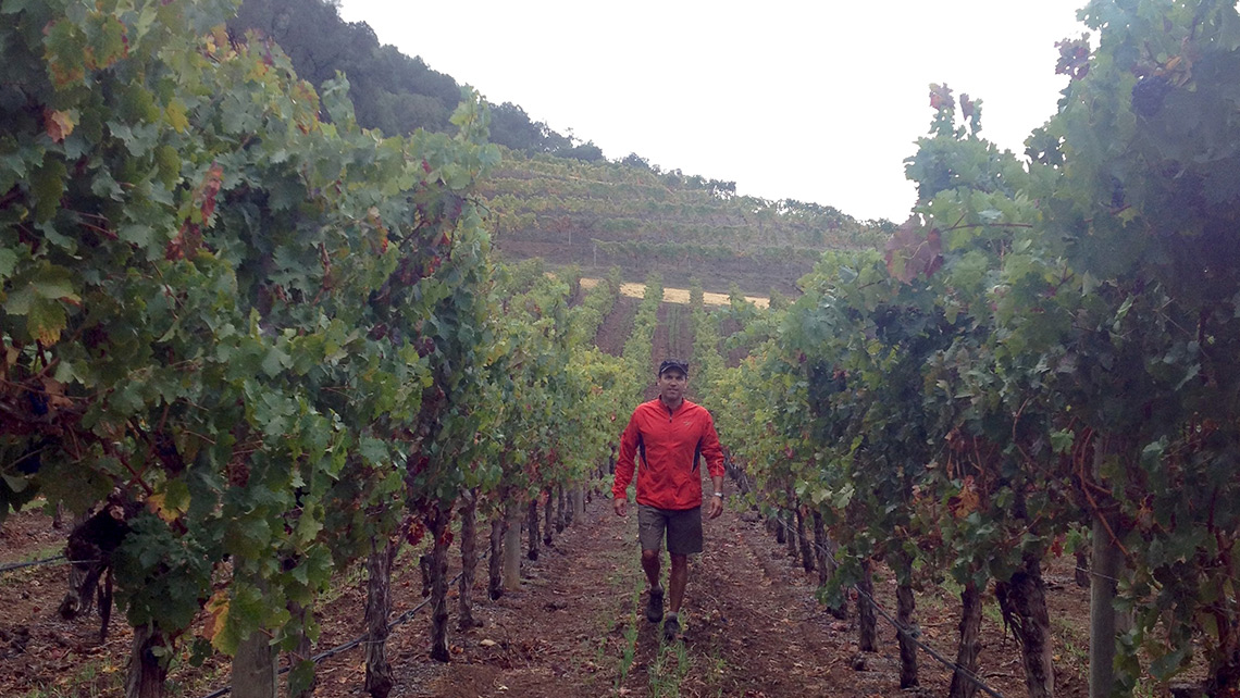 Winemaker Daniel LeFrancois